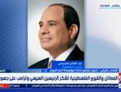 إسلام عفيفى: جهود مصر بقيادة الرئيس السيسى ركيزة لحماية القضية الفلسطينية