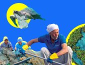 غرينبيس الشرق الأوسط وشمال أفريقيا تطلق تقريرا لمعالجة التلوث البلاستيكى