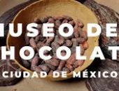رائحة التاريخ بطعم الشوكولاتة.. أقدم متحف للكاكاو فى المكسيك.. صور 