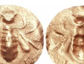 دراسة: النحل والعسل فى اليونان القديمة رمز للمعرفة والقوة