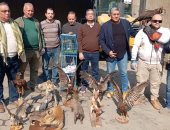 حملة موسعة من البيئة على سوق ديانا ومصادرة الحيوانات الحية والمحنطة.. صور