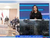 خبير: الجهود المصرية أثمرت عن بدء المرحلة الثانية للسلام