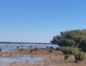 حصاد الوزارات.. القاهرة 30 درجة.. الأرصاد تكشف تغيرات مفاجئة بالحرارة × 48 ساعة