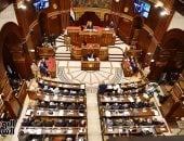 وزير الري: مشروع مفيض توشكى كان ضروريا بعد إنشاء السد الأثيوبى