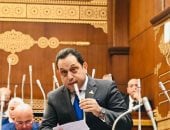 محمد الجندى: تصريحات الرئيس كشفت فاتورة الأزمات الإقليمية على الاقتصاد المصرى