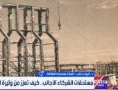 خبير لـ إكسترا نيوز: سداد مستحقات الشركات الأجنبية يعزز استثمارات الطاقة