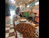 اعرف بلدك.. شاهد مراحل تحضير أفخم تمور العالم لرمضان من الداخلة.. فيديو