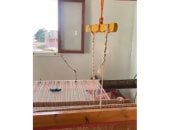 من قلب الصحراء.. قرية بشندي بالداخلة تتحول لقلعة عالمية للسجاد اليدوي.. فيديو