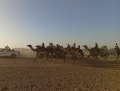 انطلاق سباق الهجن فى شمال سيناء 