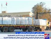 ماهر صافي: لجنة إدارة غزة تحظى بدعم مصري وشرعية فلسطينية كاملة