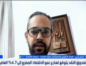 خبير استثمار: رفع توقعات صندوق النقد مؤشر ثقة بالاقتصاد المصري