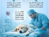 اشتراطات صارمة لعمل بنوك دم الكلاب فى مصر.. إنفوجراف