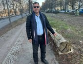 ثروة الأشجار فى أوروبا.. 90 مليار شجرة فى ألمانيا فقط 