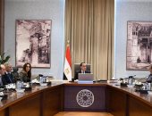 إجراءات حكومية للتعامل مع الحيوانات والكلاب الضالة.. مراكز إيواء بعيدا عن الكتلة السكنية بالمحافظات.. ومدبولي يوجه المحافظين بتوفير الأماكن المطلوبة وزيادة المتعاقد معهم لأداء مهام التعقيم والتحصين