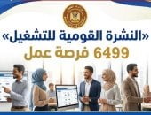 وزارة العمل: 6499 فرصة عمل جديدة فى 10 محافظات والتقديم خلال يناير وفبراير