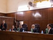 المؤبد لشقيقين لاتهامهما بحيازة مفرقعات وقنابل يدوية وأسلحة آلية بسوهاج