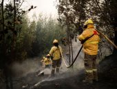 حرائق غابات فى الشتاء.. إجلاء السكان فى تشيلى بعد تمدد النيران إلى المنازل