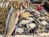 أسعار الأسماك بأسواق مطروح اليوم الأحد 25-1-2026.. اللوت بـ 200 جنيه