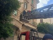 القصة الكاملة لإنقاذ «بومة» عالقة فى عقار بالإسكندرية بـ«أوناش هيدروليكية»