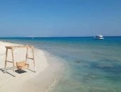 «مجاويش» إحدى أجمل الجزر البحرية بالبحر الأحمر.. تنفرد بسحر فريد لشواطئها الساحرة وتضم مياه فيروزية ورملية.. تحيط بها شعاب مرجانية وتأوى كائنات بحرية نادرة.. ويزورها يوميًا مئات السياح من مختلف دول العالم.. صور