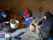 «سيدة الخوص» قصة السمار العاصى ولعنة ملوحة التربة بسبب التغيرات المناخية.. أنامل نساء الدلتا تواجه حكاية صراع بين نعومة الأم وقسوة الأرض في أكل العيش.. وخارطة طريق لإنقاذ "صانعات الجمال"