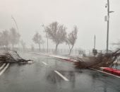 غلق المدارس وتوقف حركة السير.. طقس عاصف يضرب صقلية بإيطاليا