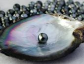 أجمل 4 أحجار كريمة باللون الأسود.. حظ برج الأسد موضة 2026