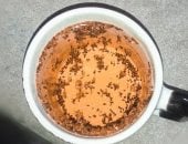 مشروبات لفقدان الدهون وتحسين الهضم بعد كحك العيد