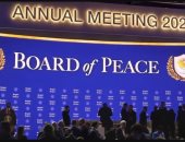 مجلس سلام غزة.. كوشنر وروبيو يقودان الوفد الأمريكى مع ترامب