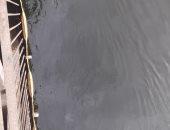 حالة طوارئ بمحطة مياه السكساكا بطما بعد رصد بقعة سولار أمام المأخذ