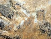 اكتشاف أكبر أثار أقدام ديناصورات بالعالم.. يعود إلى 130 مليون سنة فى أستراليا