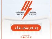 القابضة للكهرباء تعلن عن حاجتها لشغل وظائف هندسية وفنية بشركات التوزيع
