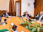 وزير الخارجية يؤكد أولوية الدائرة الإفريقية في السياسة الخارجية المصرية 