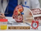 كيف تكشف ألوان البول عن مشاكل الكلى