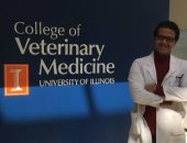 البيزنس الأسود من دماء الكلاب.. باحث بجامعة إلينوي الأمريكية وعضو هيئة التدريس بجامعة القاهرة يكشف لـ"اليوم السابع" خبايا تصدير دماء الكلاب الضالة لأمريكا بالدولار.. ويؤكد: جمعيات حقوق الحيوان تفاقم الأزمة