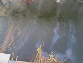 ظهور بقعة سولار متسربة بمياه نهر النيل في مركز المراغة بسوهاج