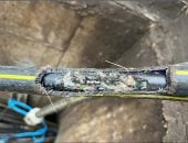 فئران لندن تُفشل صفقة إنقاذ شركة إنترنت متعثرة وتكبدها خسائر فادحة.. صور