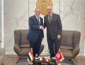 وزير الخارجية: ندعم تسوية سياسية شاملة تحفظ وحدة ليبيا