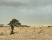 رياح شديدة وطقس شتوي قارس يضرب شمال سيناء مع تحذيرات من الشبورة والصقيع