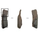 اكتشاف أدوات خشبية عمرها 430 ألف عام فى اليونان