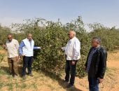 رئيس مركز بحوث الصحراء يتفقد الأنشطة البحثية بمحطة توشكى