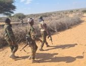 الجيش الصومالي يسيطر على منطقة "جبد غودني" بمحافظة شبيلى الوسطى