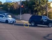 نجاة رضيع أمريكى بمعجزة بعد سقوطه من سيارة واعتقال والدته.. فيديو