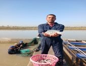 باحث بالمركز الدولي للأسماك يوضح طرق اختيار السمك الطازج