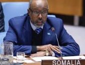 مجلس الأمن: محاولات فرض واقع سياسى جديد على أفريقيا يخلق سابقة خطيرة