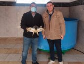 «إيرينى» تعود لموطنها.. ملحمة إنقاذ سلحفاة نادرة بالدقهلية احتفالا بيوم البيئة الوطنى 