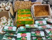 إقبال من المواطنين على معرض «أهلا رمضان» بحديقة الأسرة والطفولة بدسوق