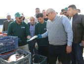 بعد نجاح تنفيذ مشروعات الاستزراع السمكى فى صحراء الوادى الجديد.. توسعات جديدة لإنشاء 12 حوض سمك بـ قرى الخير والنماء بالفرافرة بنظام "الري التكاملي" من فائض محطات مياه الشرب لإنتاج 100 طن أسماك.. صور