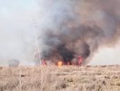 السيطرة على حريق بهيش أرض زراعية دون إصابات فى العامرية بالإسكندرية