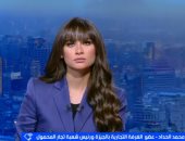 رئيس شعبة المحمول بالجيزة يهاجم شركات التصنيع المحلى: تستغل الأزمات